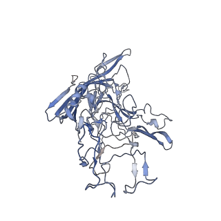 7301_6bx0_H_v1-0
Atomic resolution structure of human bufavirus 2