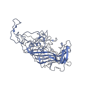 7301_6bx0_I_v1-0
Atomic resolution structure of human bufavirus 2