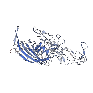7301_6bx0_K_v1-0
Atomic resolution structure of human bufavirus 2