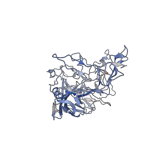7301_6bx0_L_v1-0
Atomic resolution structure of human bufavirus 2