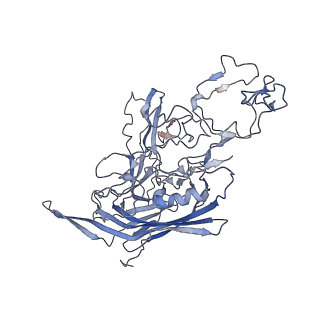 7301_6bx0_M_v1-0
Atomic resolution structure of human bufavirus 2