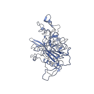 7301_6bx0_N_v1-0
Atomic resolution structure of human bufavirus 2