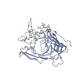 7301_6bx0_O_v1-0
Atomic resolution structure of human bufavirus 2