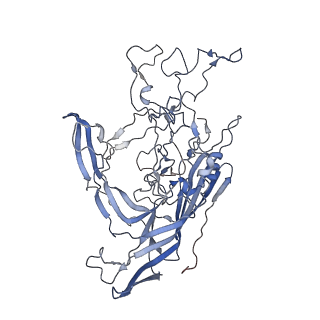 7301_6bx0_P_v1-0
Atomic resolution structure of human bufavirus 2