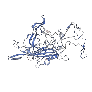 7301_6bx0_Q_v1-0
Atomic resolution structure of human bufavirus 2