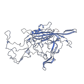 7301_6bx0_R_v1-0
Atomic resolution structure of human bufavirus 2