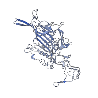 7301_6bx0_S_v1-0
Atomic resolution structure of human bufavirus 2