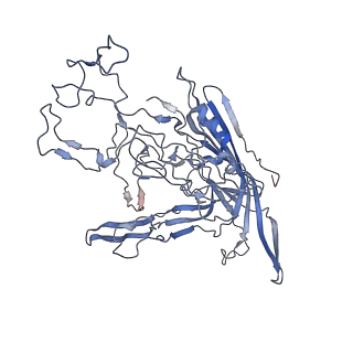 7301_6bx0_T_v1-0
Atomic resolution structure of human bufavirus 2