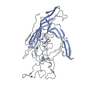 7301_6bx0_V_v1-0
Atomic resolution structure of human bufavirus 2