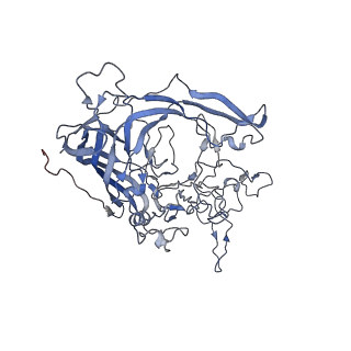 7301_6bx0_W_v1-0
Atomic resolution structure of human bufavirus 2