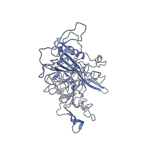 7301_6bx0_X_v1-0
Atomic resolution structure of human bufavirus 2