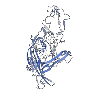 7301_6bx0_Y_v1-0
Atomic resolution structure of human bufavirus 2