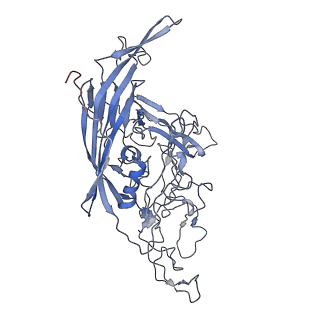 7301_6bx0_Z_v1-0
Atomic resolution structure of human bufavirus 2