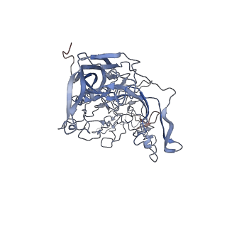 7301_6bx0_b_v1-0
Atomic resolution structure of human bufavirus 2