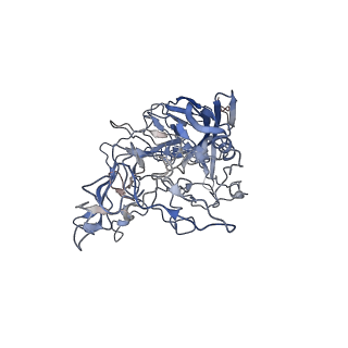 7301_6bx0_e_v1-0
Atomic resolution structure of human bufavirus 2