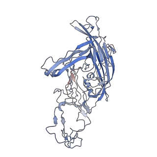 7301_6bx0_g_v1-0
Atomic resolution structure of human bufavirus 2