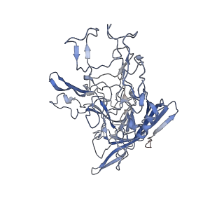 7301_6bx0_h_v1-0
Atomic resolution structure of human bufavirus 2