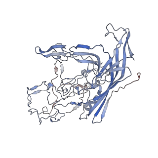 7301_6bx0_i_v1-0
Atomic resolution structure of human bufavirus 2