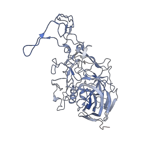 7301_6bx0_j_v1-0
Atomic resolution structure of human bufavirus 2