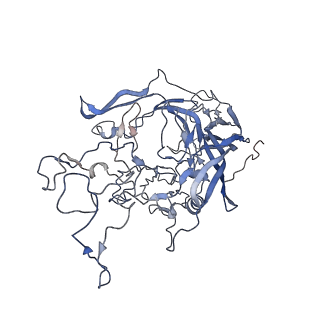 7301_6bx0_k_v1-0
Atomic resolution structure of human bufavirus 2