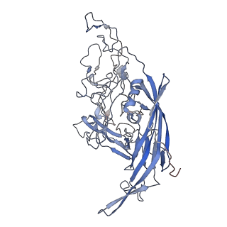 7301_6bx0_l_v1-0
Atomic resolution structure of human bufavirus 2