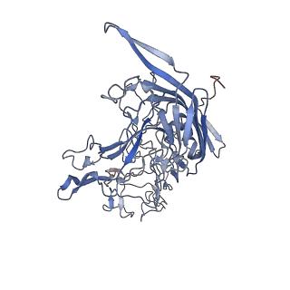 7301_6bx0_m_v1-0
Atomic resolution structure of human bufavirus 2