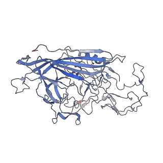 7301_6bx0_n_v1-0
Atomic resolution structure of human bufavirus 2