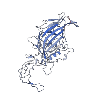 7301_6bx0_o_v1-0
Atomic resolution structure of human bufavirus 2
