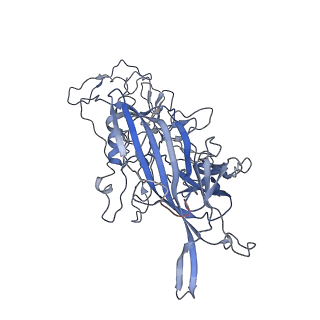 7301_6bx0_p_v1-0
Atomic resolution structure of human bufavirus 2
