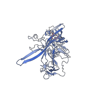 7301_6bx0_r_v1-0
Atomic resolution structure of human bufavirus 2