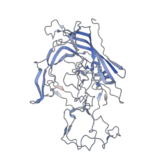 7301_6bx0_s_v1-0
Atomic resolution structure of human bufavirus 2
