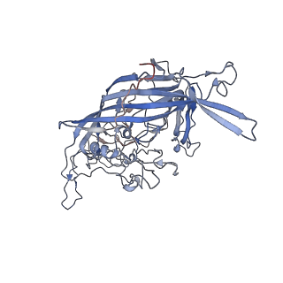 7301_6bx0_t_v1-0
Atomic resolution structure of human bufavirus 2