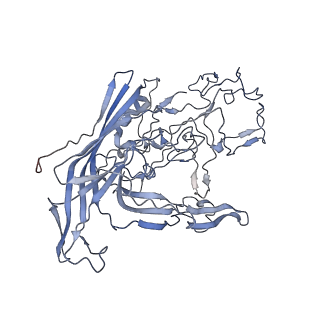 7301_6bx0_u_v1-0
Atomic resolution structure of human bufavirus 2