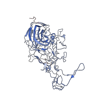 7301_6bx0_v_v1-0
Atomic resolution structure of human bufavirus 2