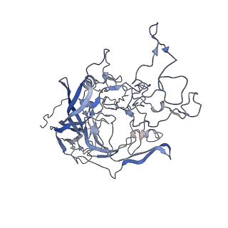7301_6bx0_w_v1-0
Atomic resolution structure of human bufavirus 2