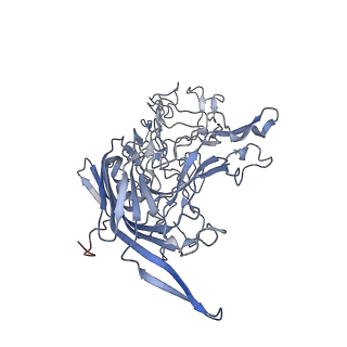 7301_6bx0_x_v1-0
Atomic resolution structure of human bufavirus 2