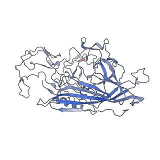 7301_6bx0_y_v1-0
Atomic resolution structure of human bufavirus 2