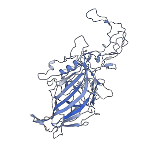 7301_6bx0_z_v1-0
Atomic resolution structure of human bufavirus 2