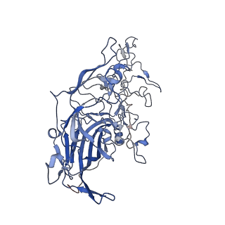 7302_6bx1_0_v1-0
Atomic resolution structure of human bufavirus 3