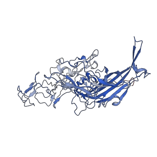7302_6bx1_1_v1-0
Atomic resolution structure of human bufavirus 3