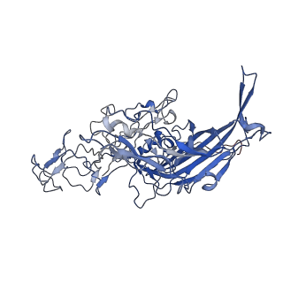 7302_6bx1_1_v1-1
Atomic resolution structure of human bufavirus 3