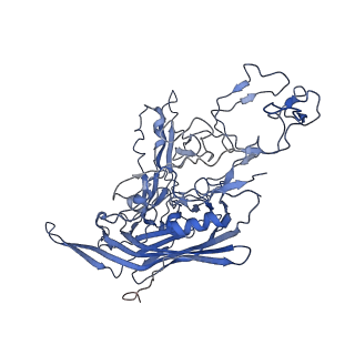 7302_6bx1_2_v1-0
Atomic resolution structure of human bufavirus 3