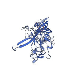 7302_6bx1_3_v1-1
Atomic resolution structure of human bufavirus 3