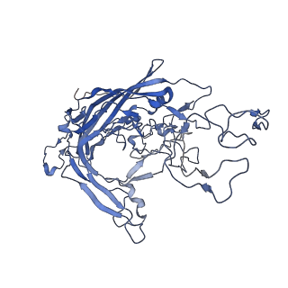 7302_6bx1_4_v1-0
Atomic resolution structure of human bufavirus 3