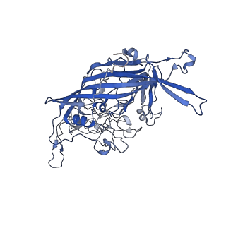 7302_6bx1_5_v1-0
Atomic resolution structure of human bufavirus 3