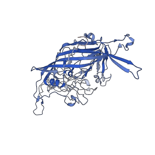 7302_6bx1_5_v1-1
Atomic resolution structure of human bufavirus 3