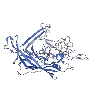 7302_6bx1_6_v1-0
Atomic resolution structure of human bufavirus 3