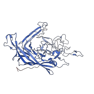 7302_6bx1_6_v1-1
Atomic resolution structure of human bufavirus 3