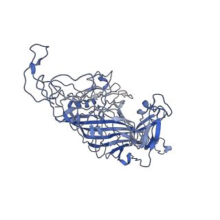 7302_6bx1_7_v1-0
Atomic resolution structure of human bufavirus 3