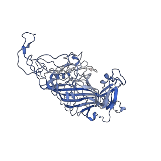 7302_6bx1_7_v1-1
Atomic resolution structure of human bufavirus 3